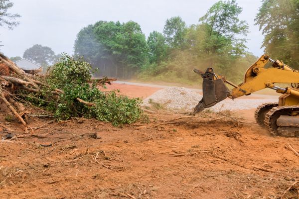 Ground Clearing in Lynnwood