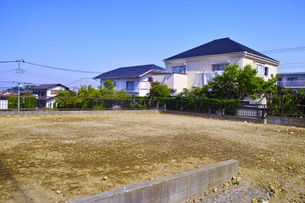 Cost of Lot Clearing Service in Lynnwood