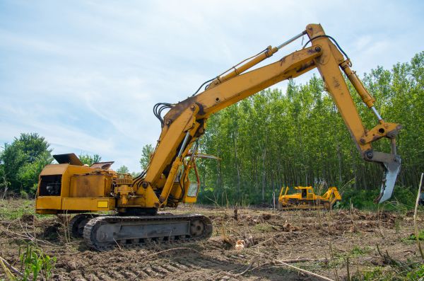 Cost of Farm Clearing in Lynnwood