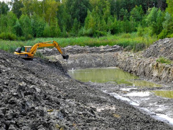 Cost of Lake Lot Clearing in Lynnwood
