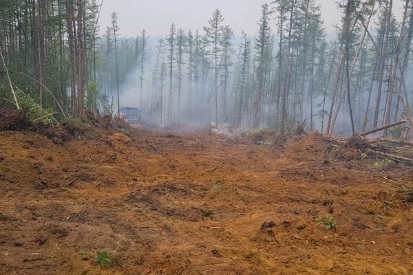 Cost of Hill Clearing in Lynnwood