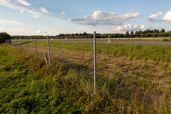 Cost of Property Line Clearing in Lynnwood