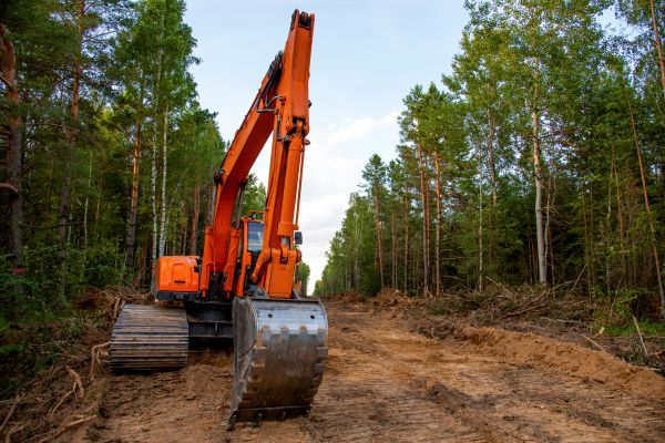 Cost of Backhoe Land Clearing in Lynnwood