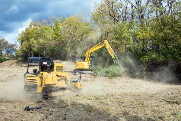 Cost of Terrain Clearing in Lynnwood
